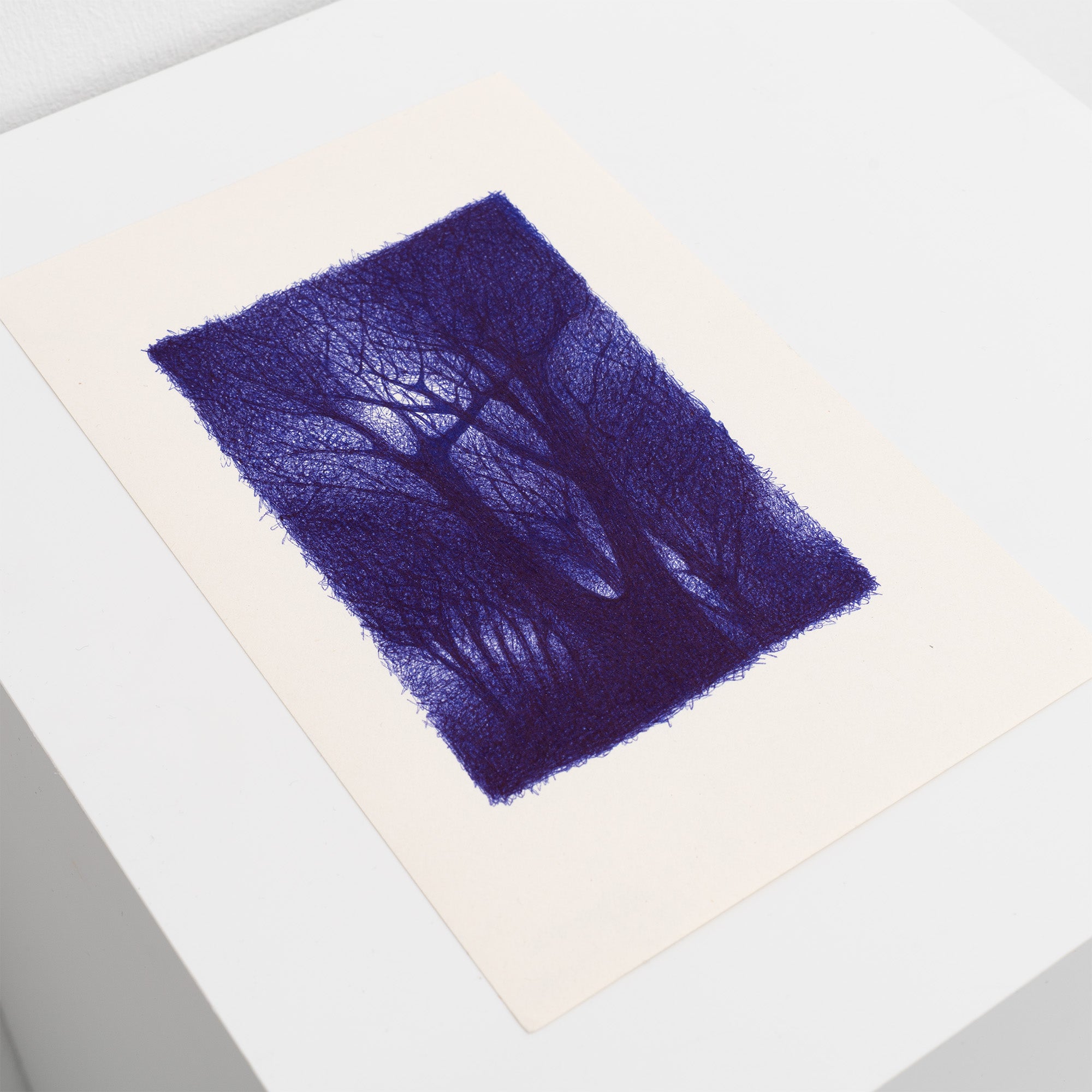 Mikael Hallstrøm - Anthropocene Scenery (The Park at Night)