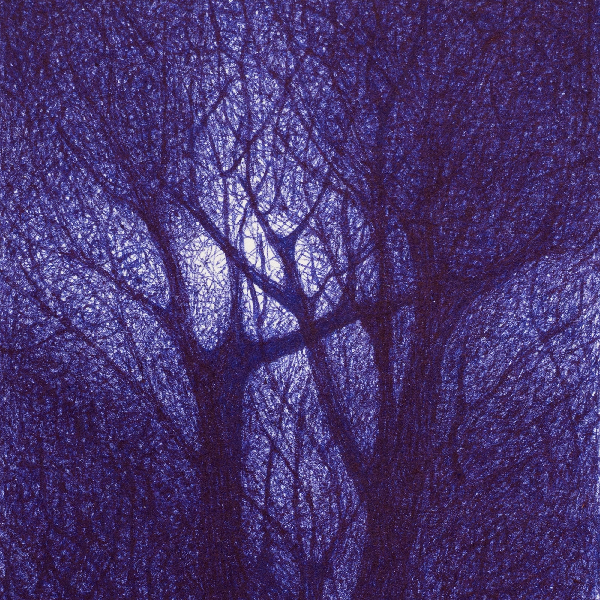 Mikael Hallstrøm - Anthropocene Scenery (The Park at Night)