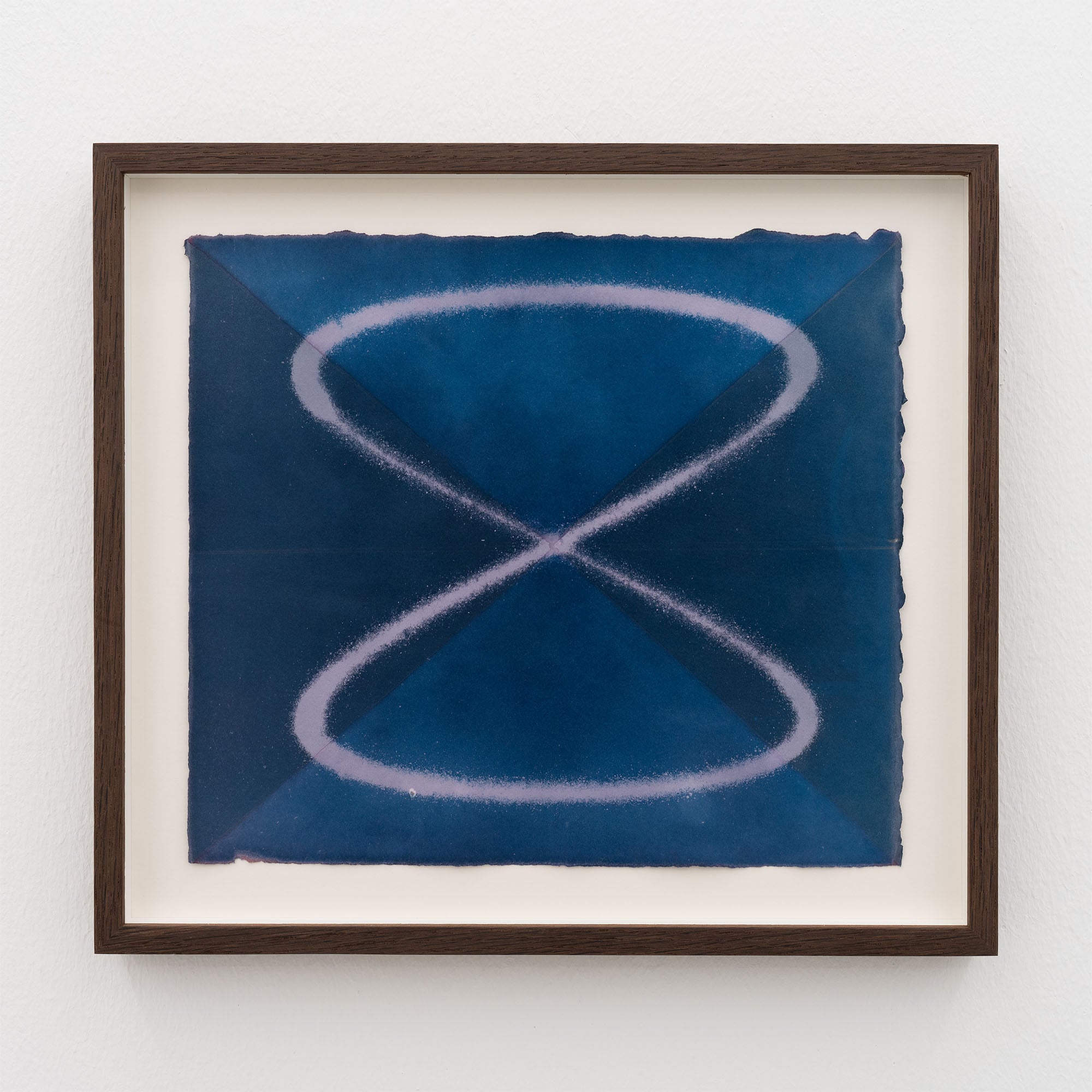 Louise Foo - Wave in Flux, Hibiscus Study (1:1) - framed