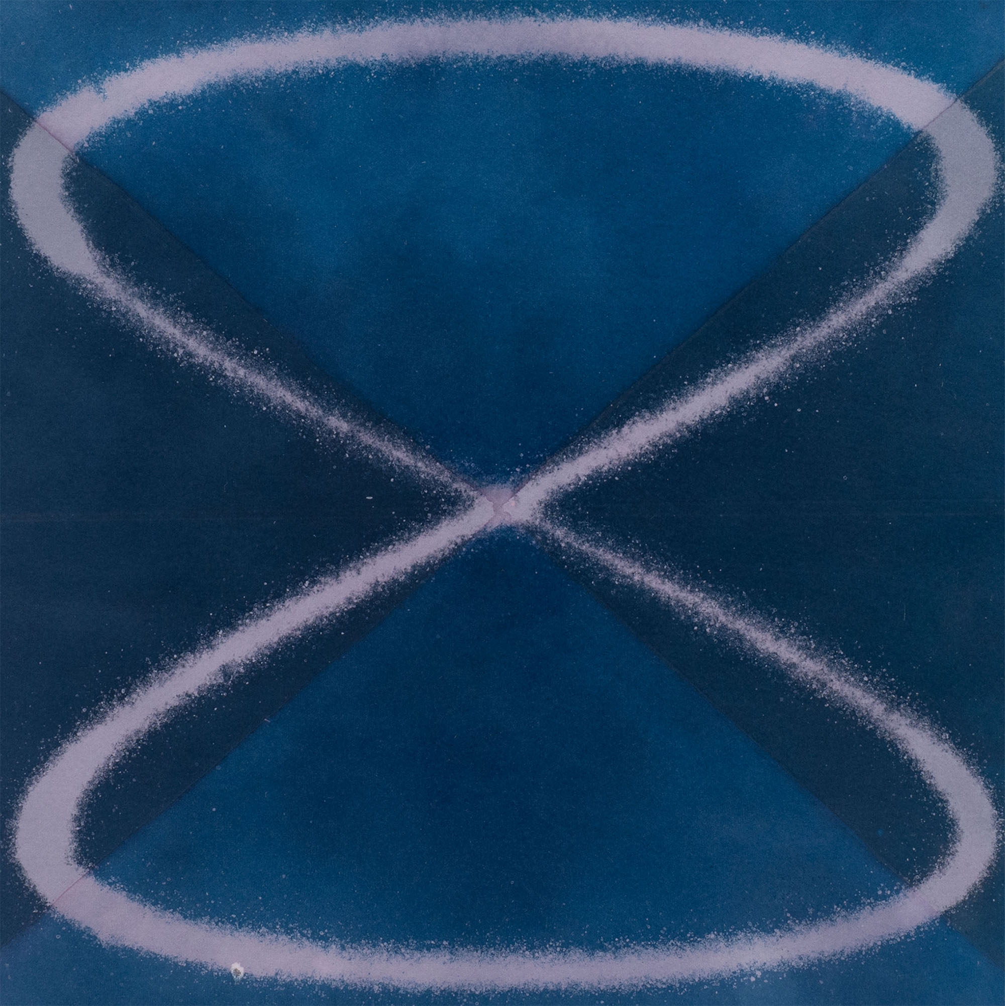 Louise Foo - Wave in Flux, Hibiscus Study (1:1) - framed