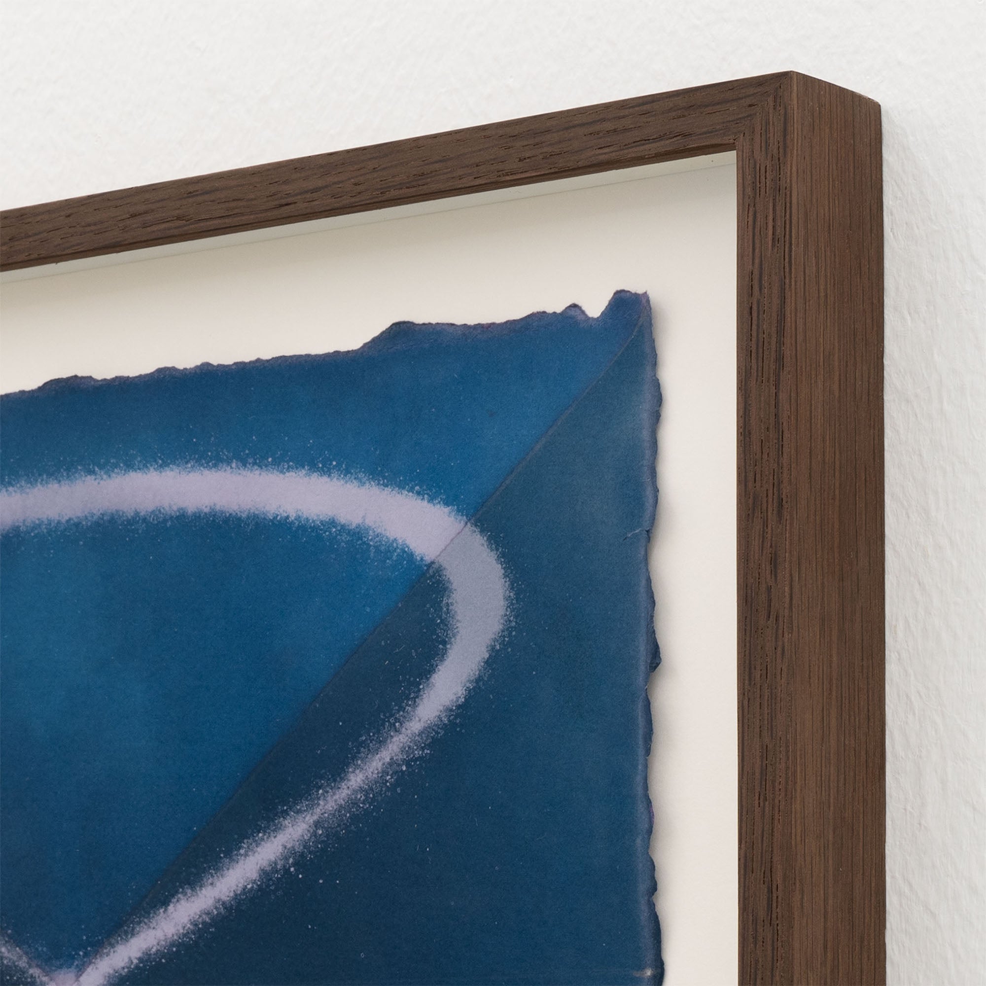 Louise Foo - Wave in Flux, Hibiscus Study (1:1) - framed