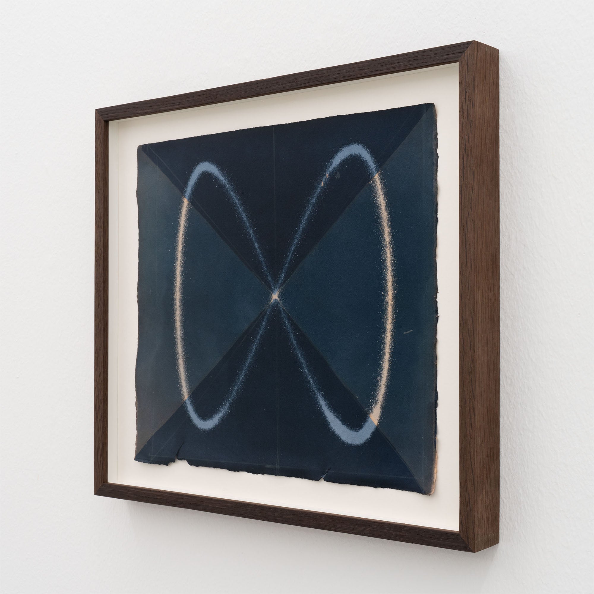 Louise Foo - Wave in Flux, Logwood Study (1:2) - framed