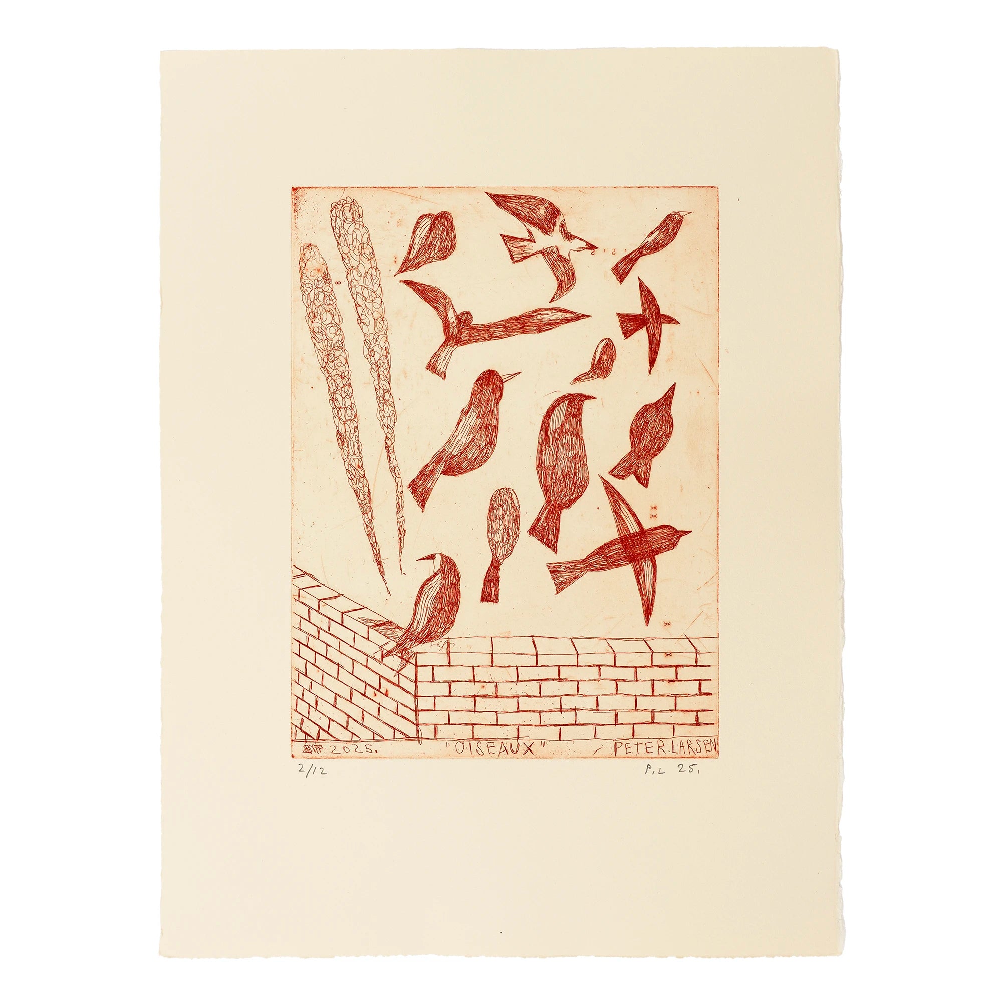 Peter Larsen - Oiseaux