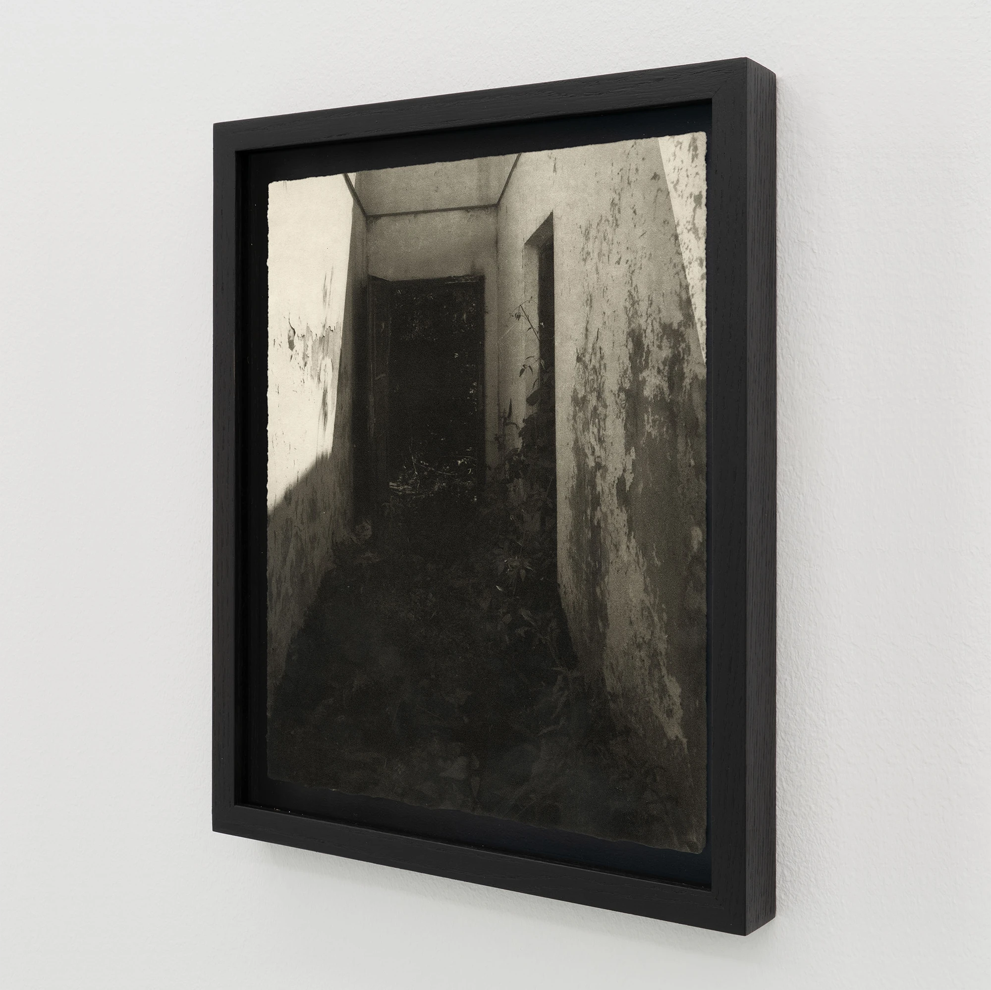 Simona Popovic - Among Themselves - framed