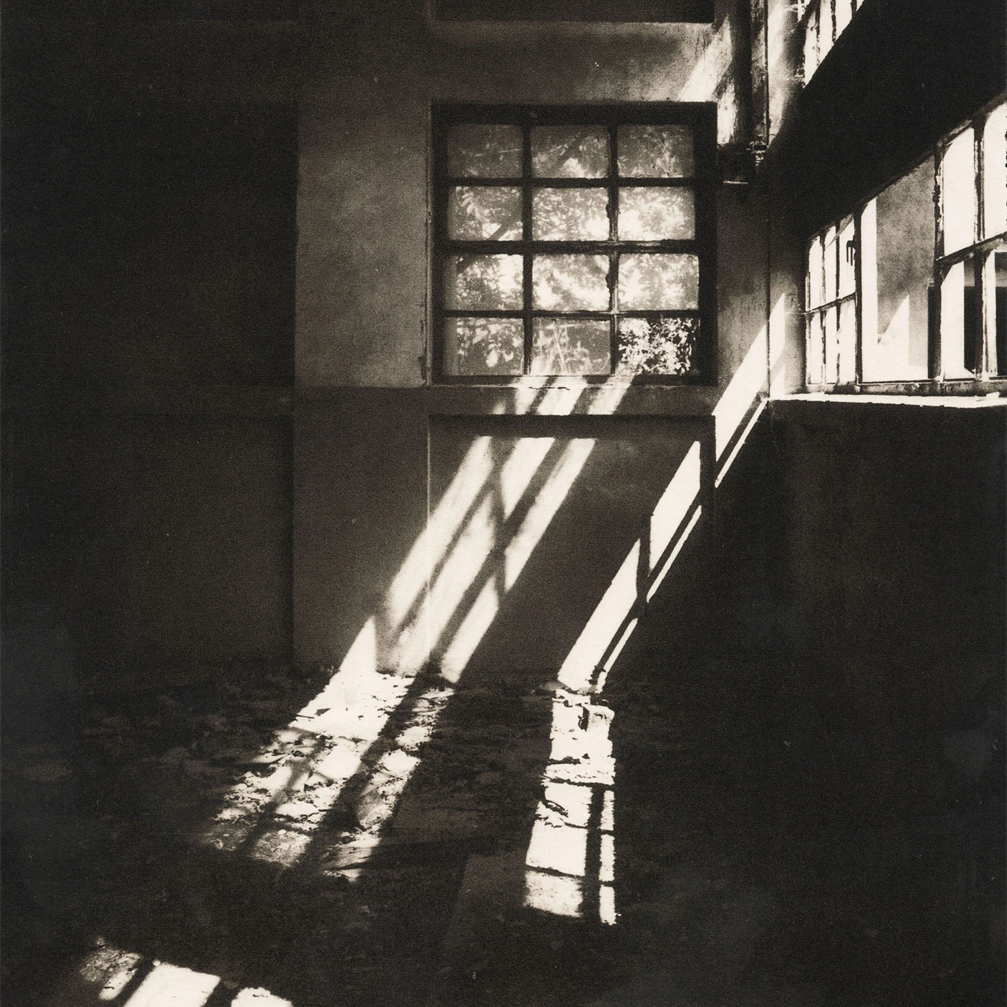 Simona Popovic - The Confluence of Fifteen Minutes - framed