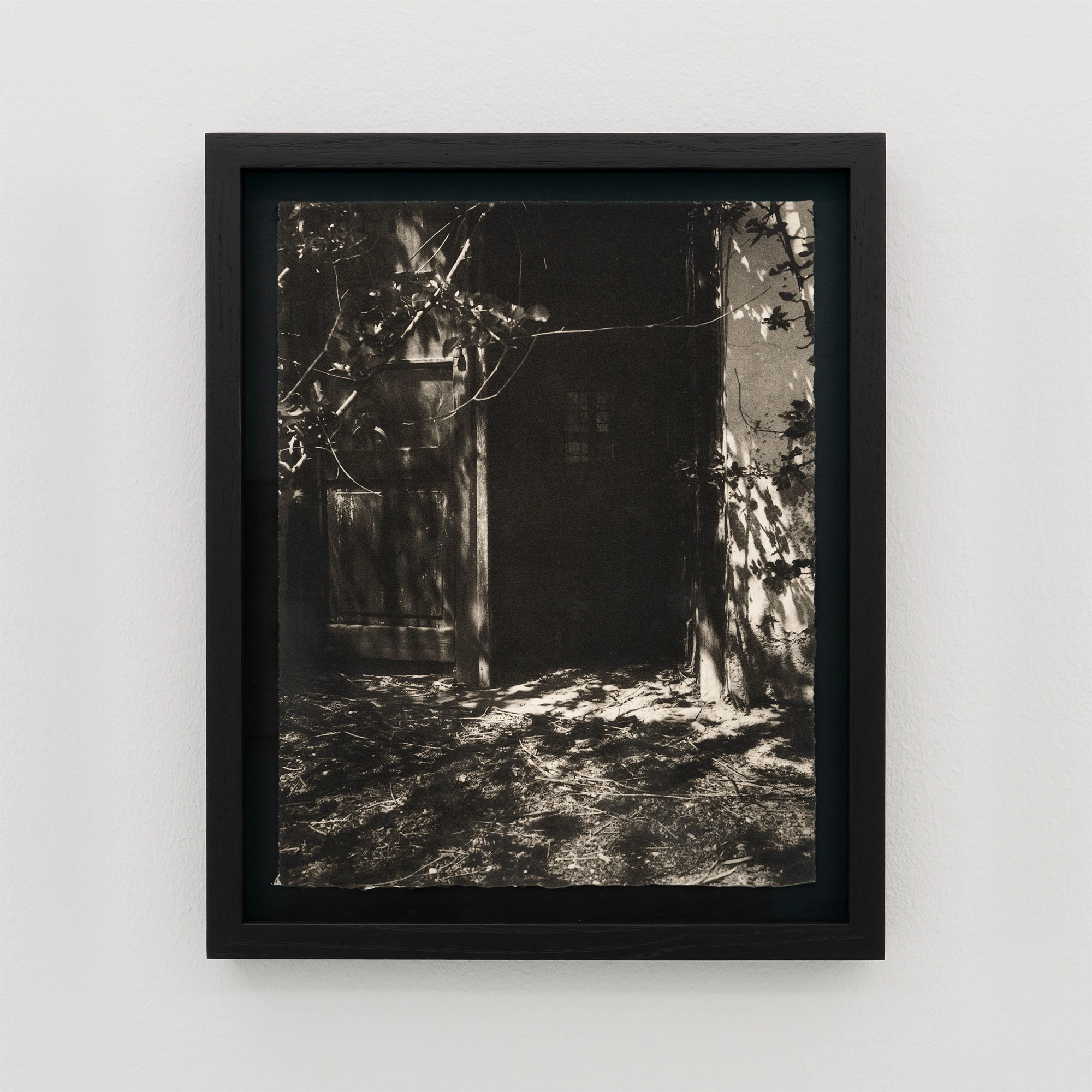 Simona Popovic - A Whisper, Not a Scream - framed