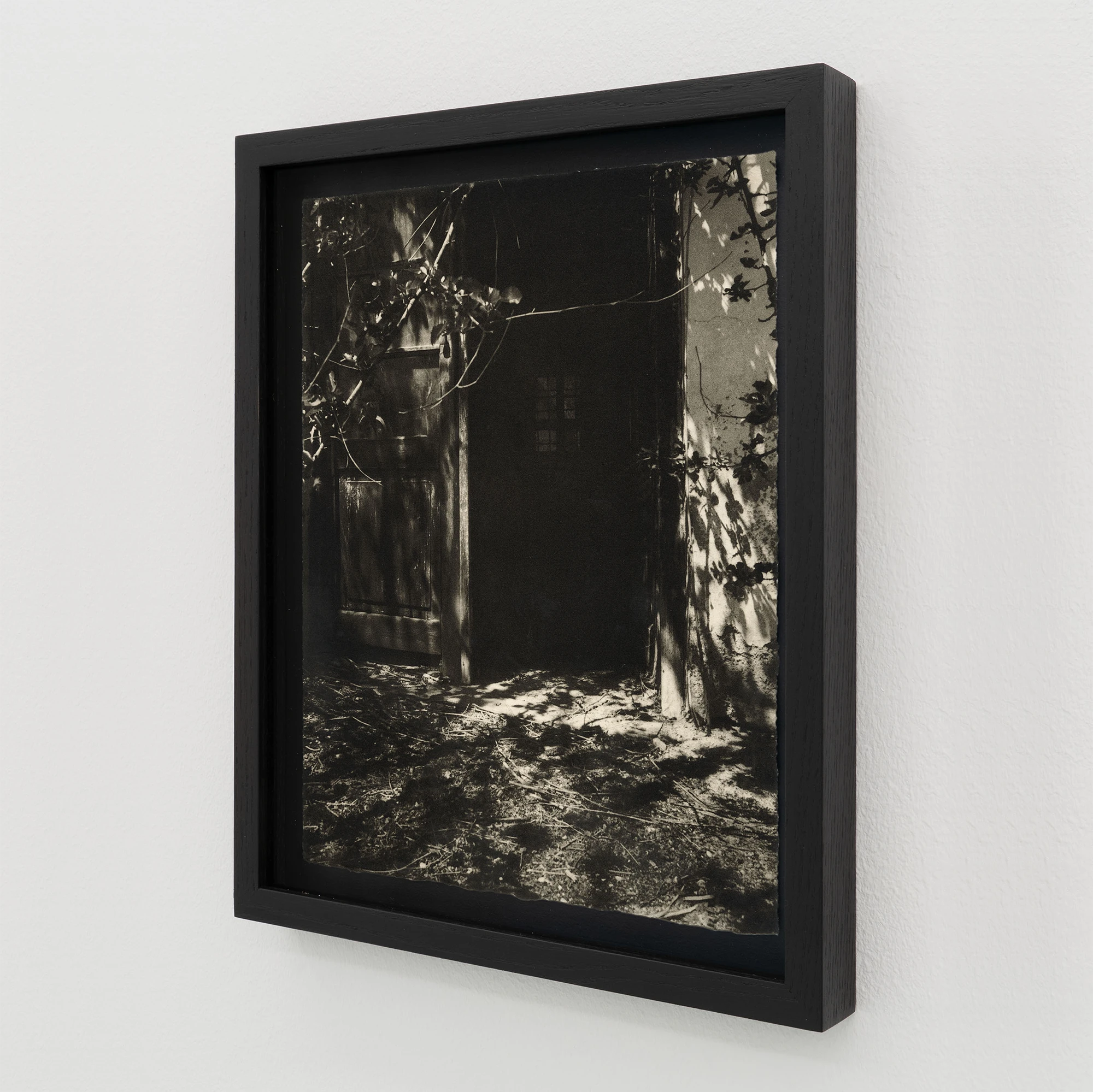 Simona Popovic - A Whisper, Not a Scream - framed