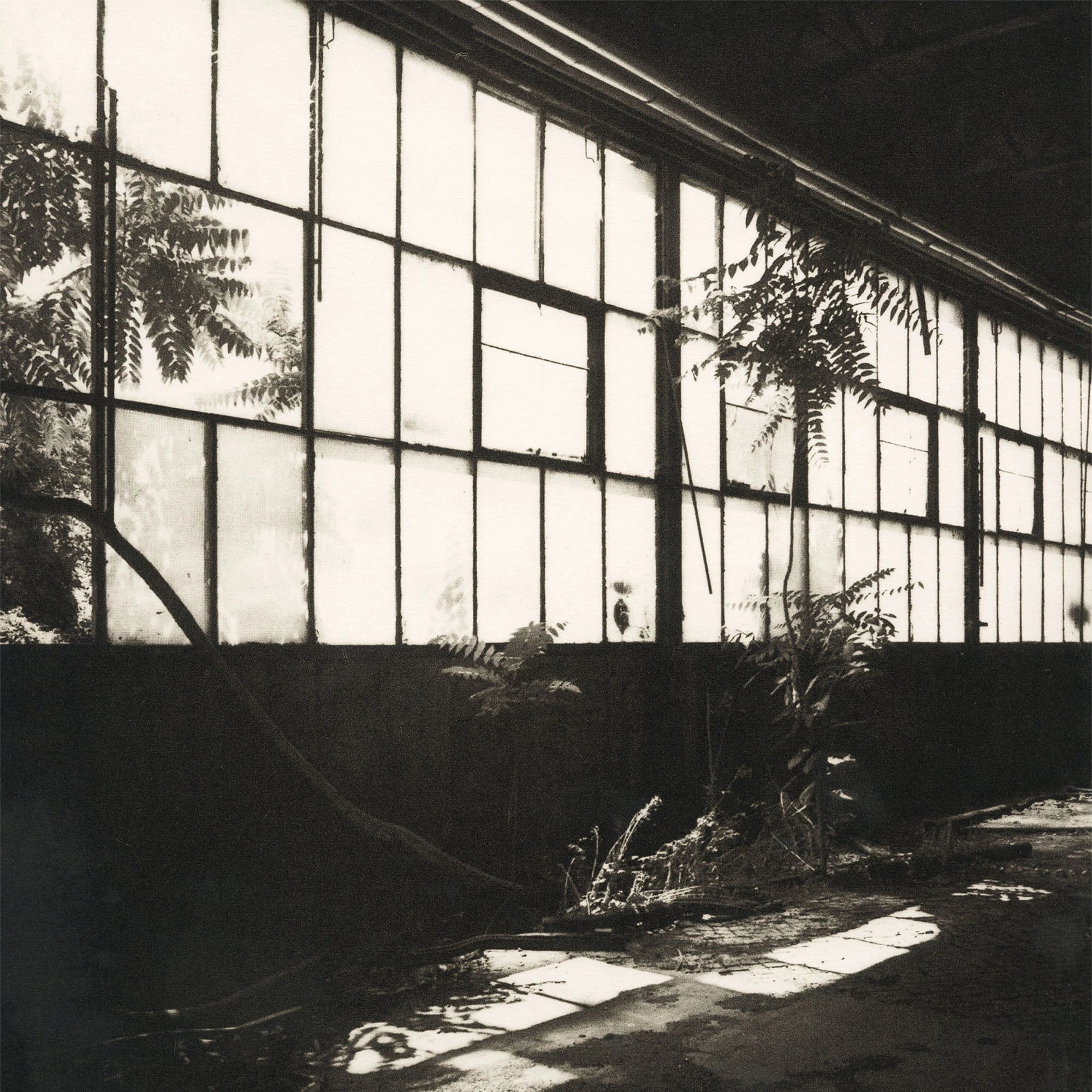 Simona Popovic - Penetration of My Enclosure