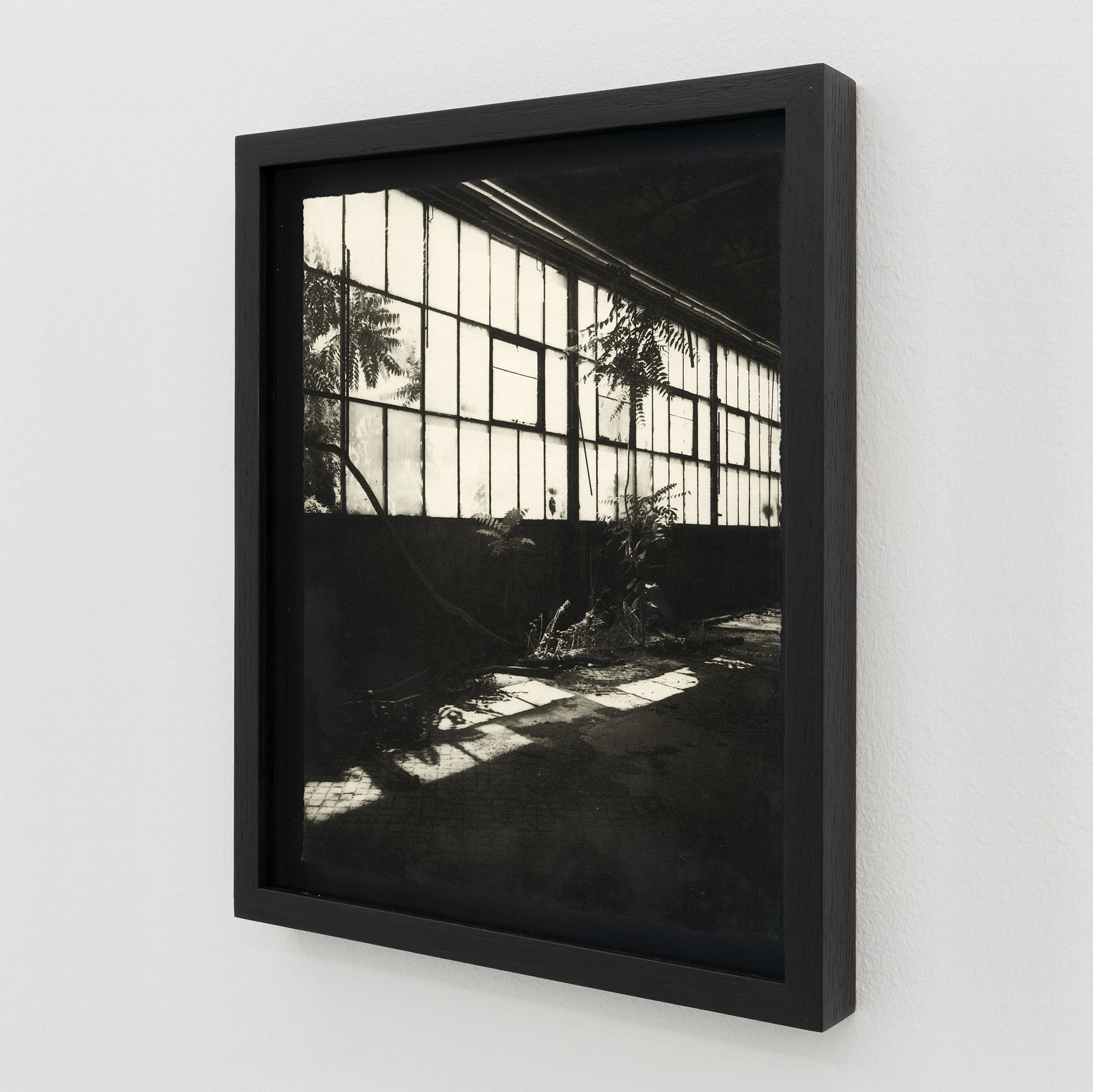 Simona Popovic - Penetration of My Enclosure