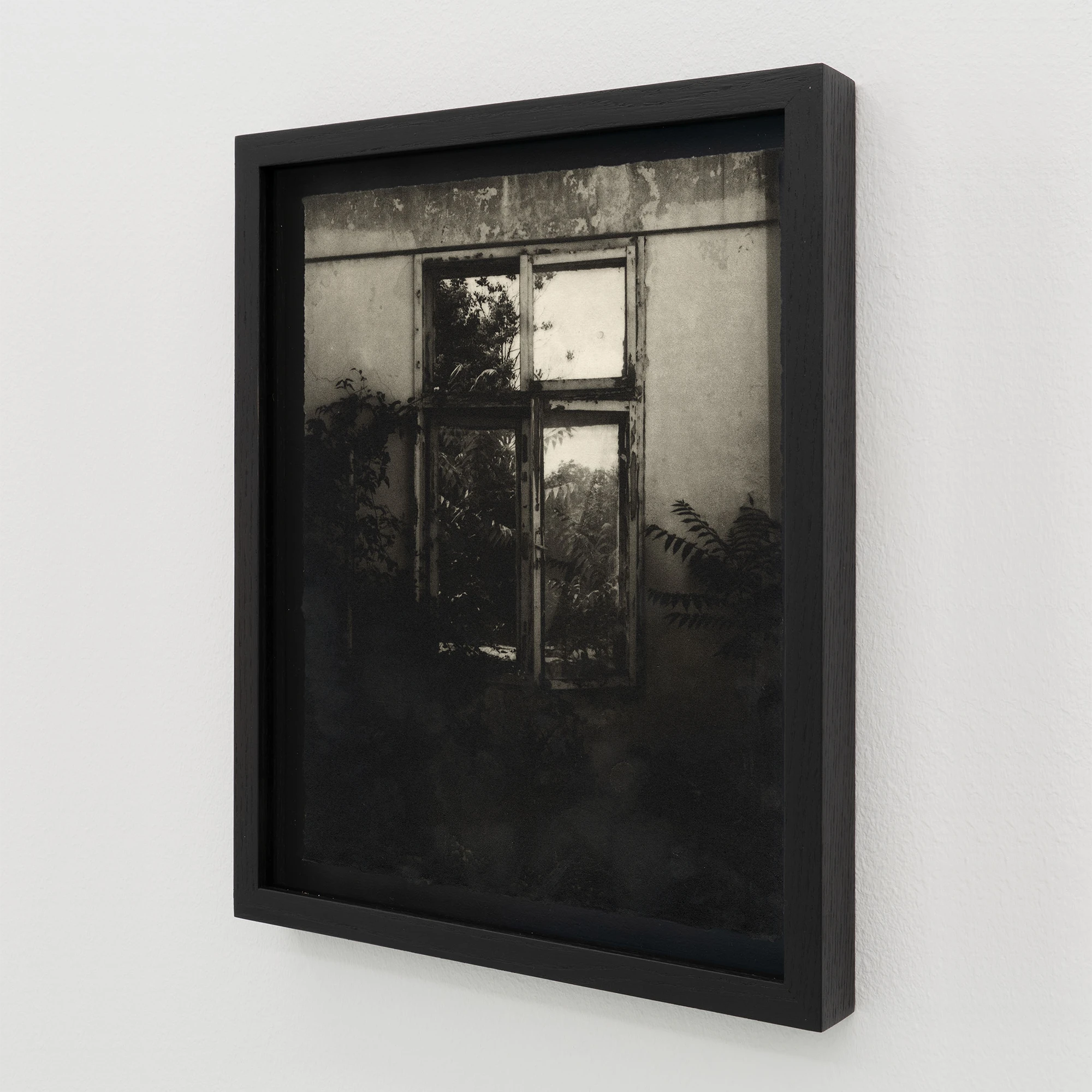 Simona Popovic - Something Comes Where Nothing Goes - framed