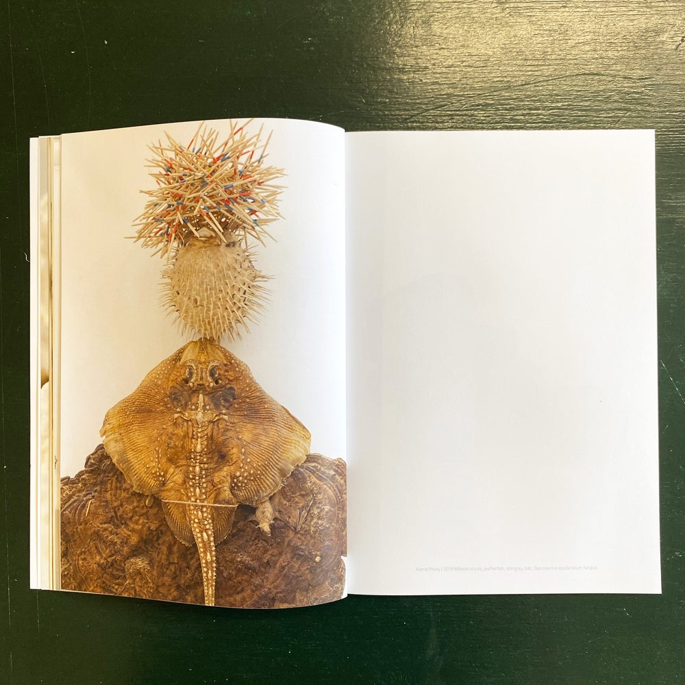 Morten Plesner - Atoll