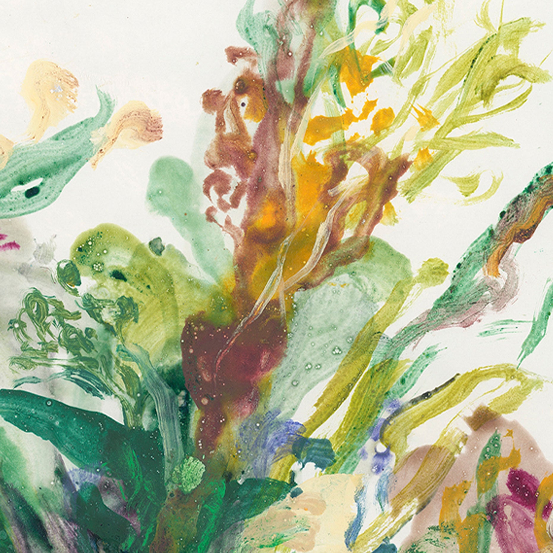 Jakob Steen - Caravan XXL