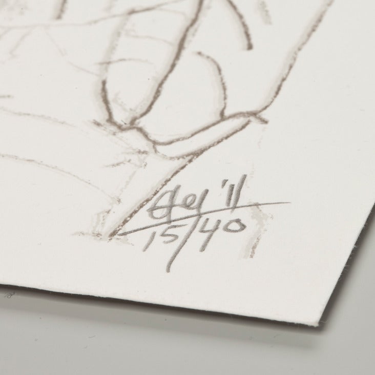 Helle Mardahl - Chaotic Nature