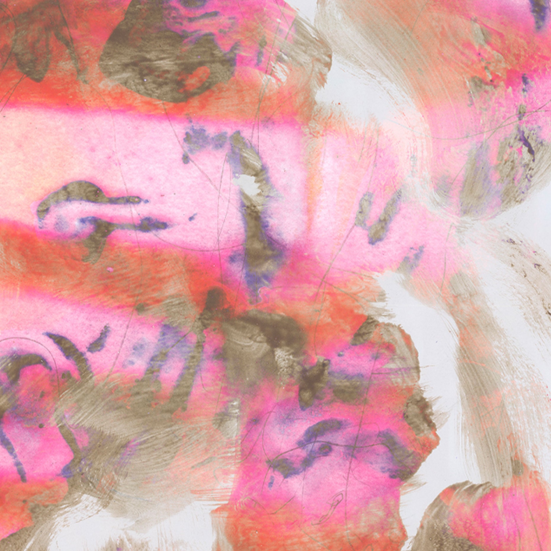 Jakob Steen - Nori Tang