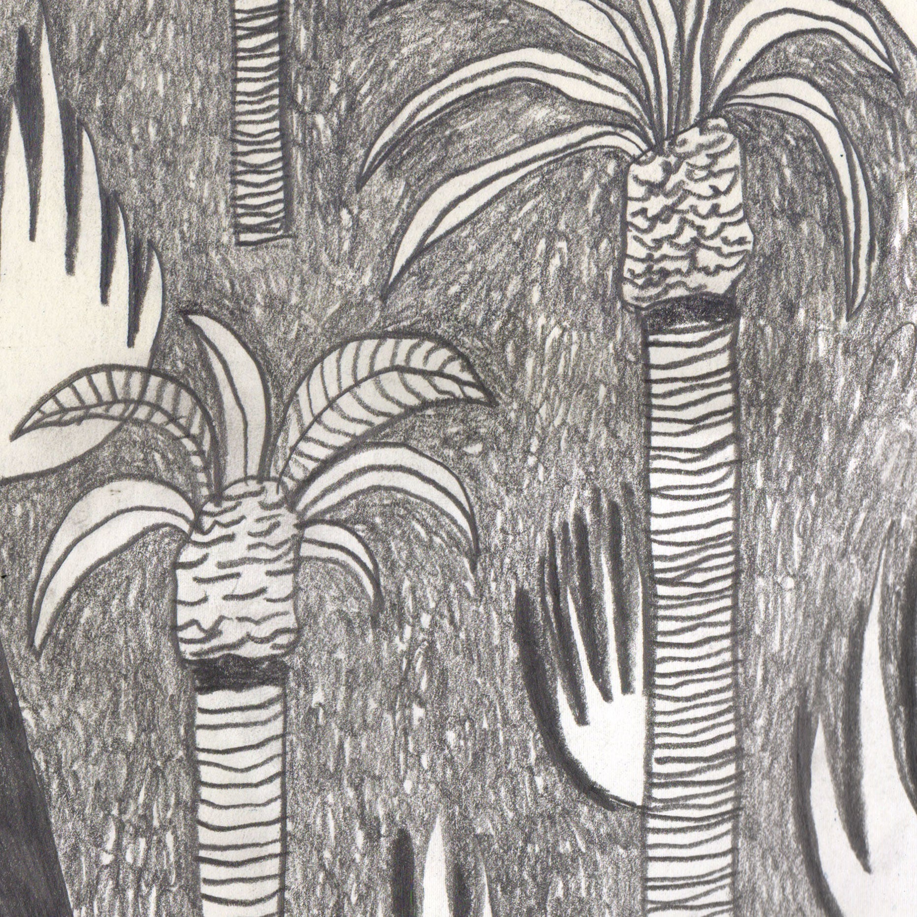 Peter Larsen - Pacific road with dogs