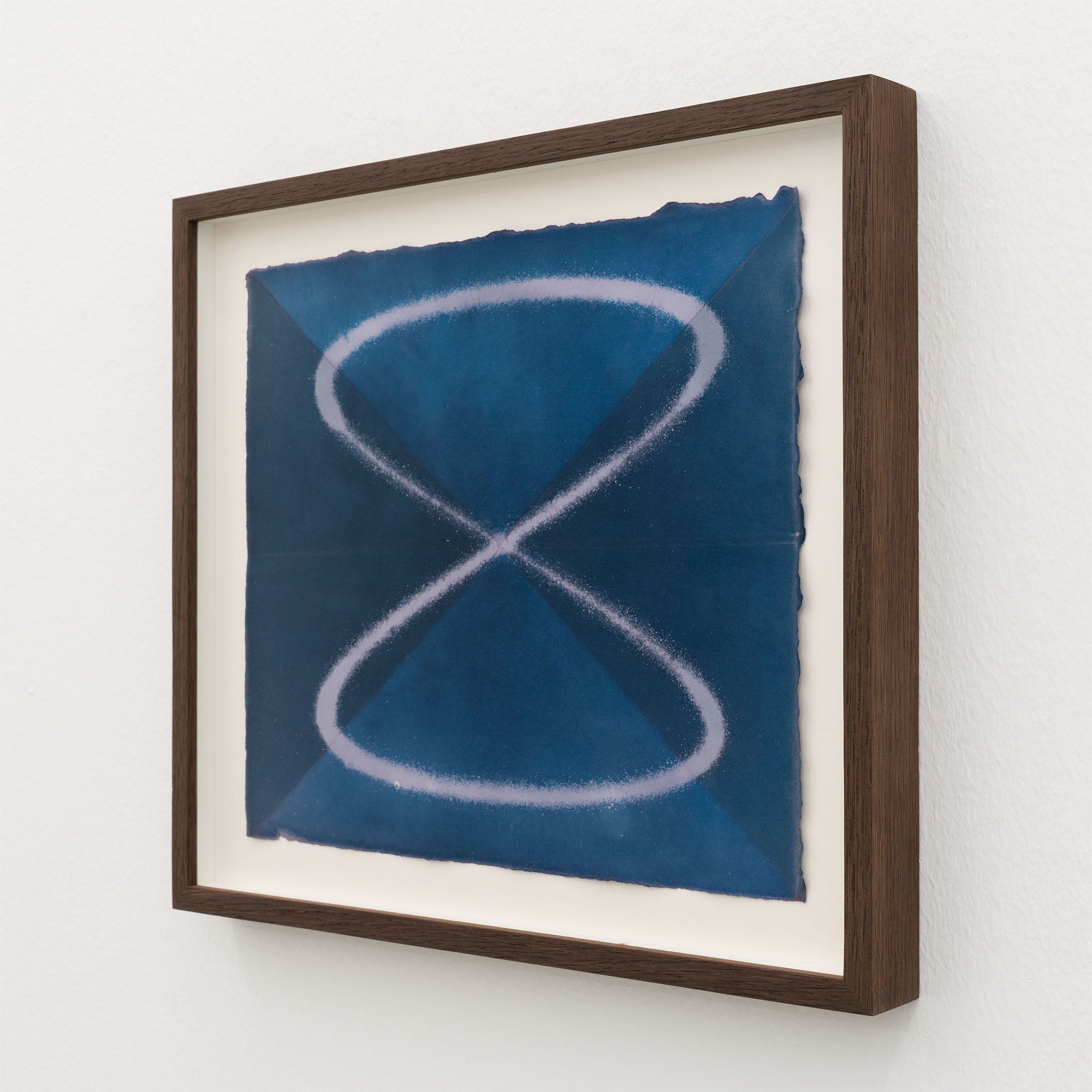 Louise Foo - Wave in Flux, Hibiscus Study (1:1) - framed