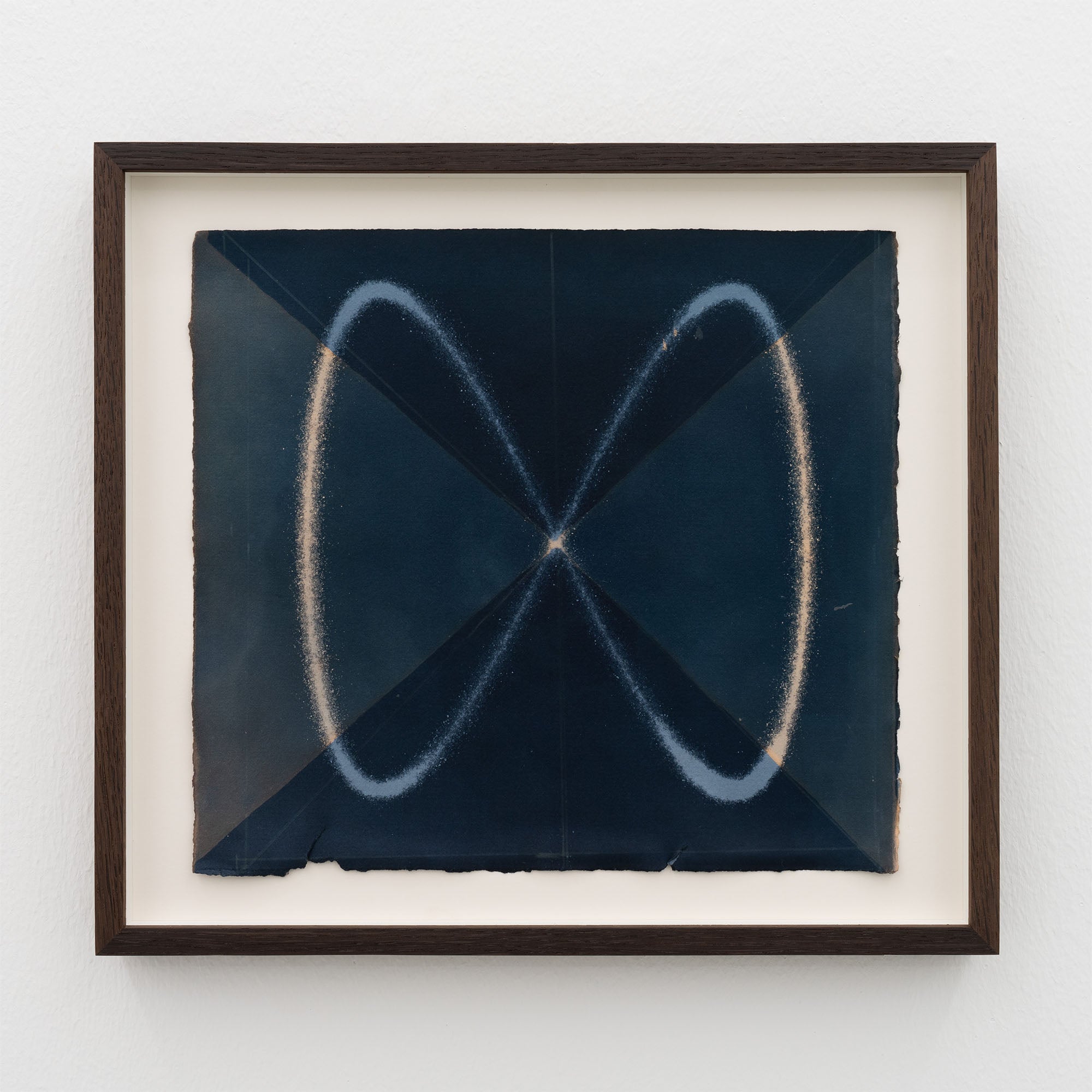 Louise Foo - Wave in Flux, Logwood Study (1:2) - framed