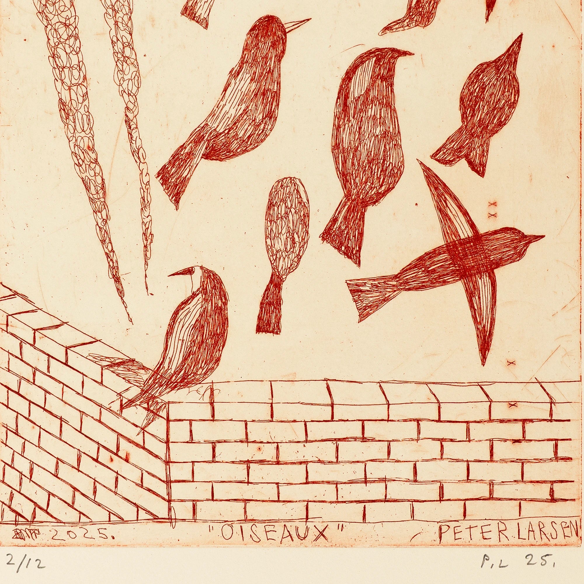 Peter Larsen - Oiseaux