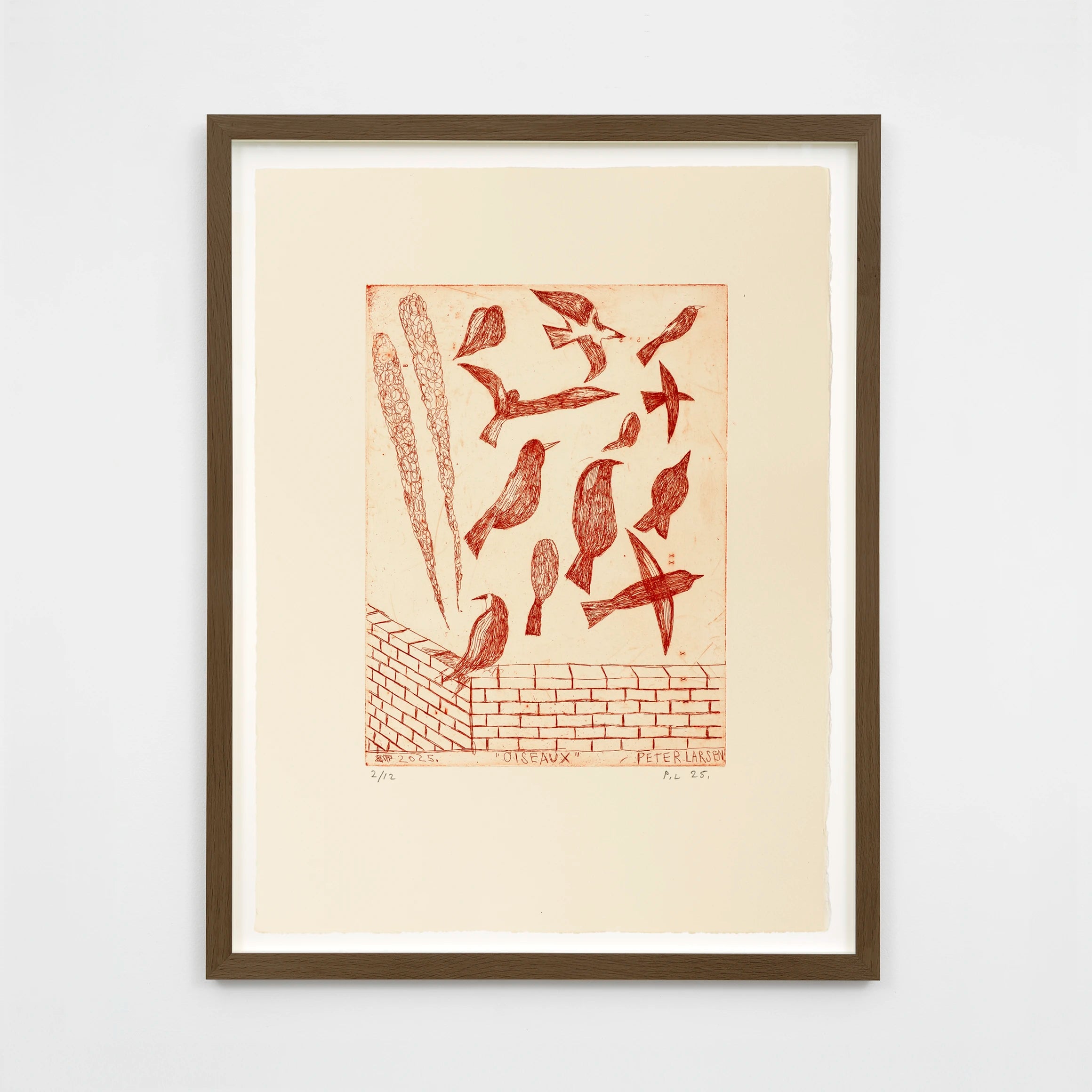 Peter Larsen - Oiseaux
