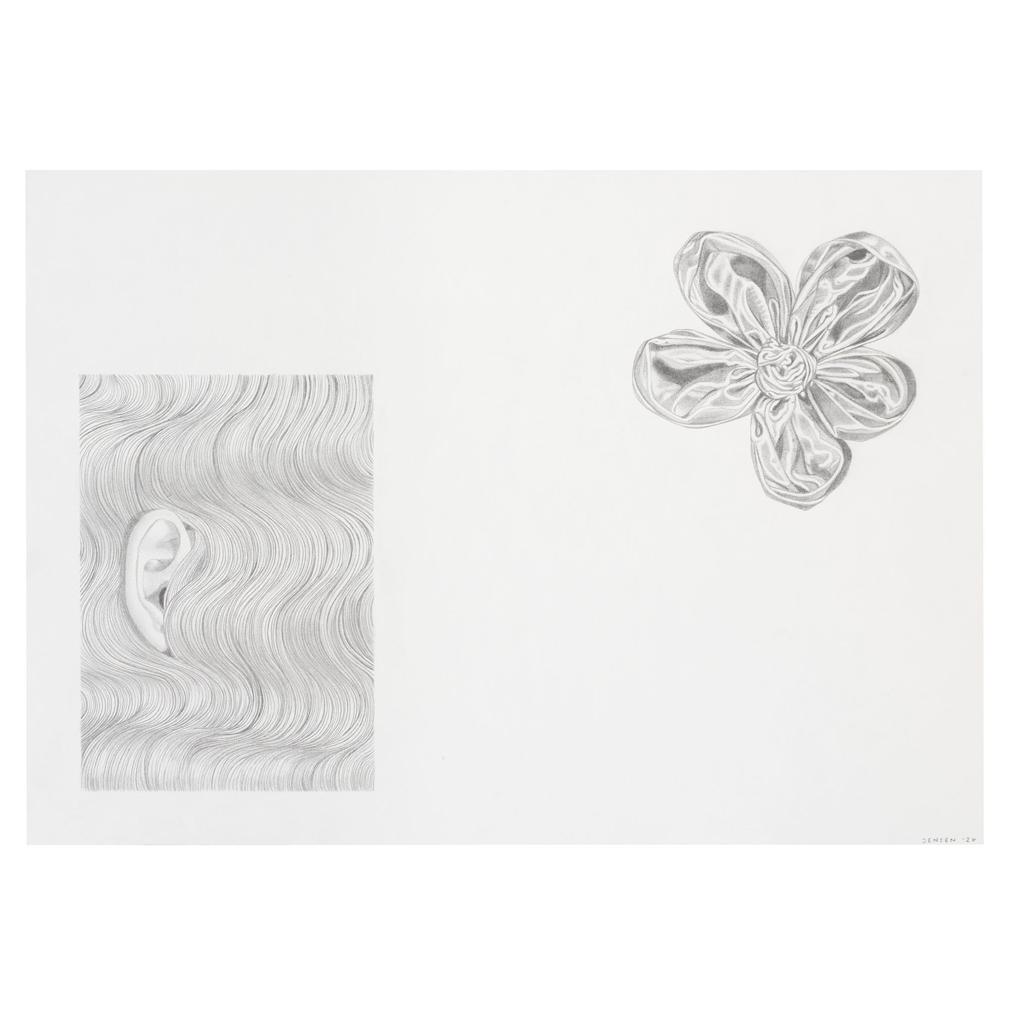 Sine Jensen - Hairlines (Bow)