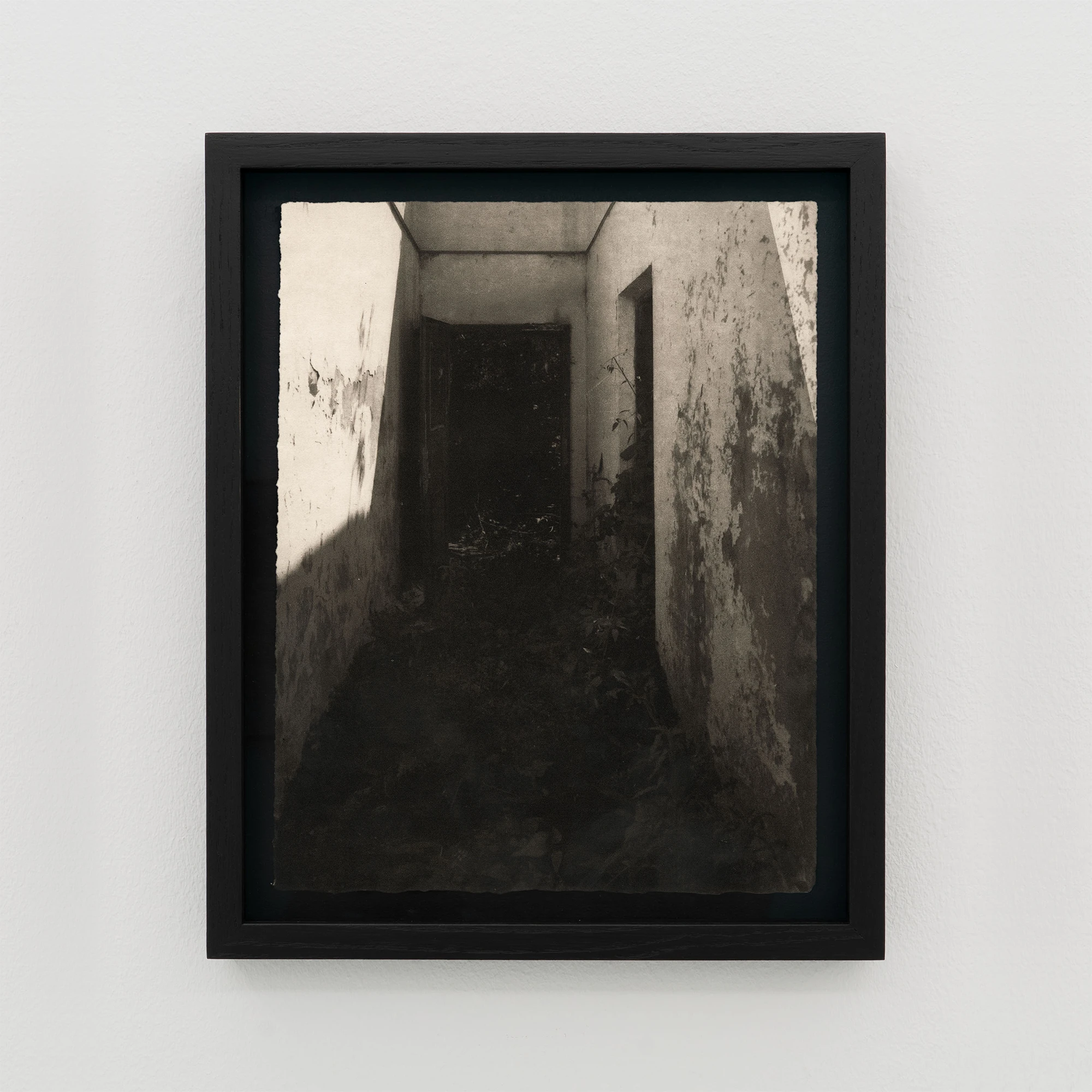 Simona Popovic - Among Themselves - framed
