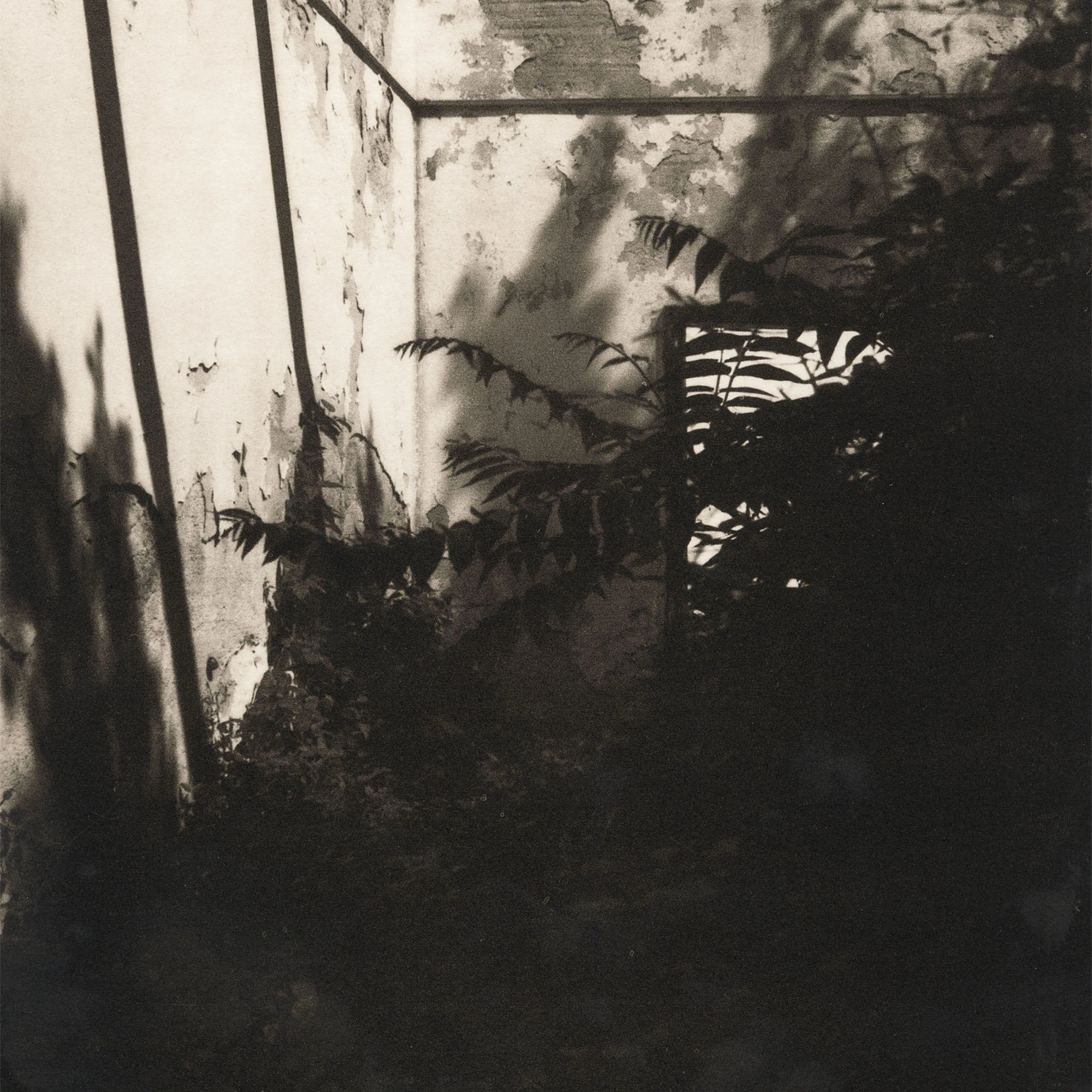 Simona Popovic - Describe me From the Inside - framed