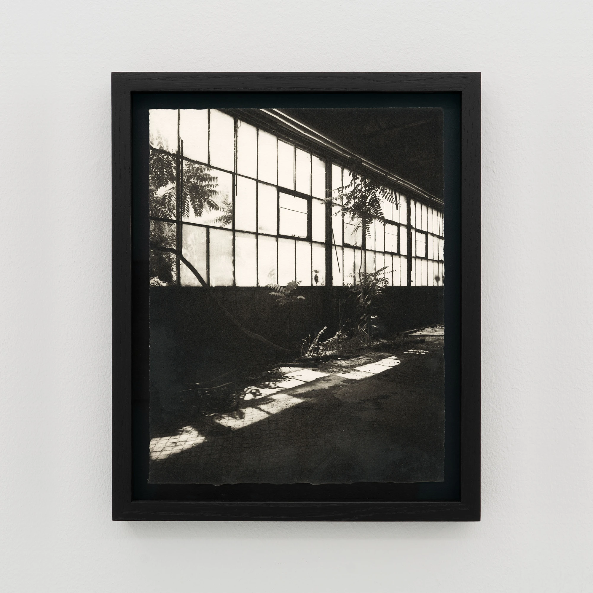 Simona Popovic - Penetration of My Enclosure