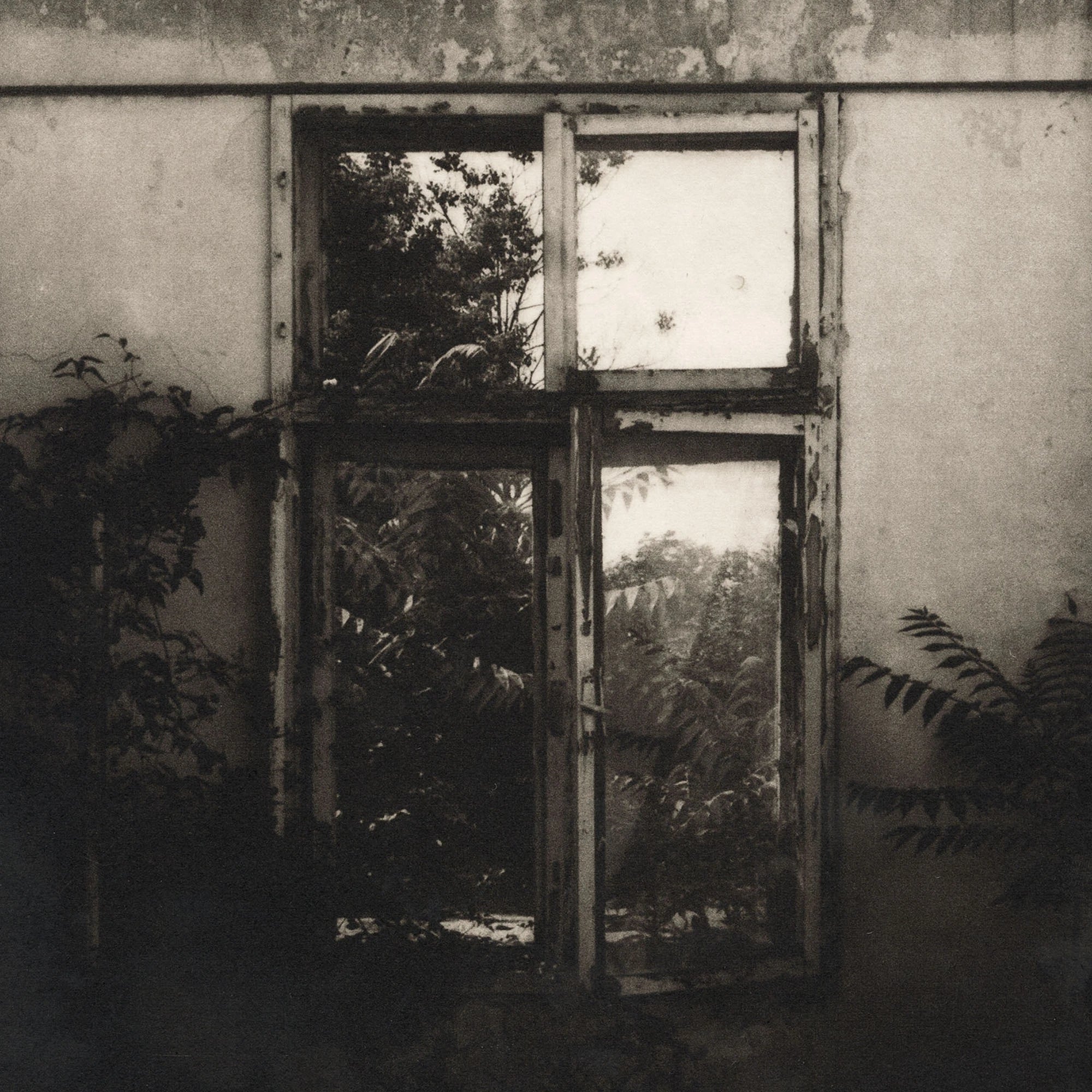 Simona Popovic - Something Comes Where Nothing Goes - framed