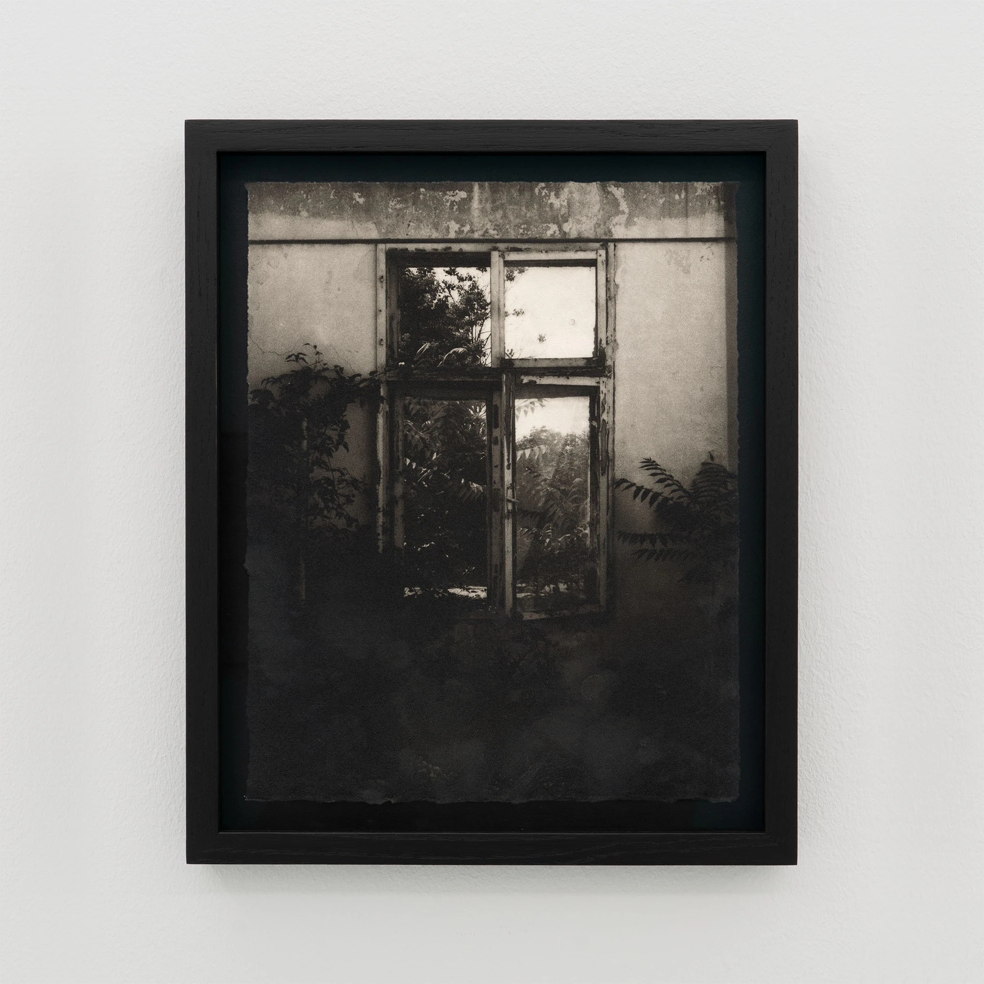 Simona Popovic - Something Comes Where Nothing Goes - framed