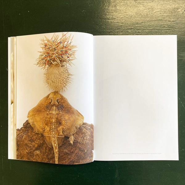 Morten Plesner - Atoll