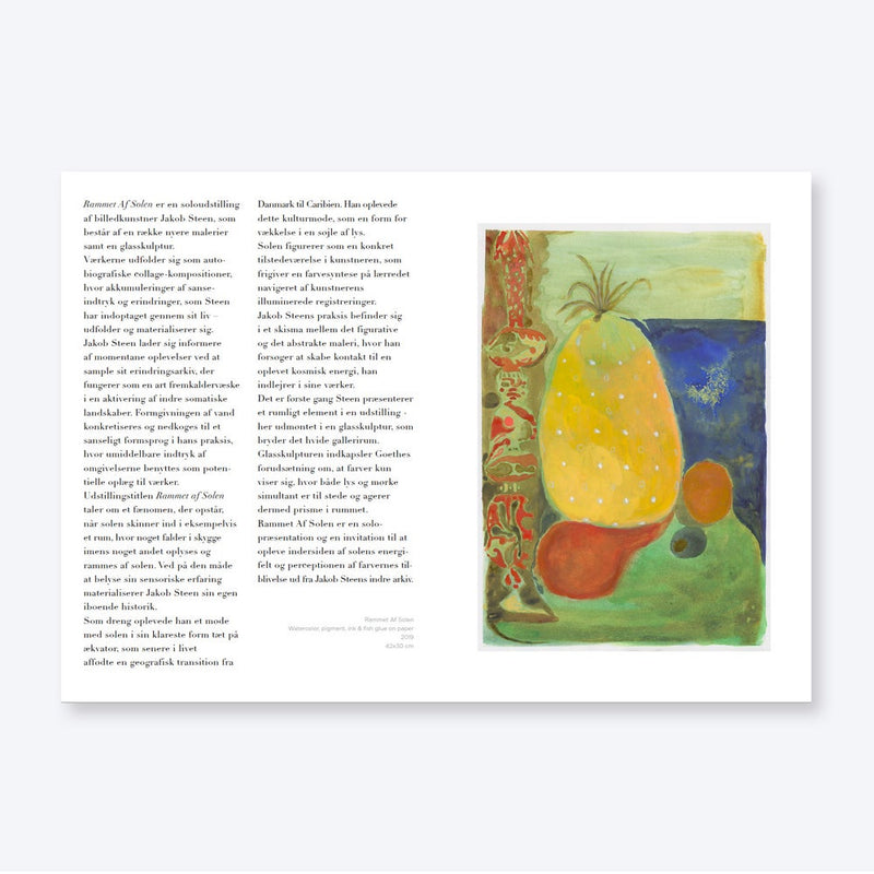 Jakob Steen - Rammet af Solen (Book)